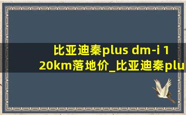 比亚迪秦plus dm-i 120km落地价_比亚迪秦plus dm-i 120km尊贵型